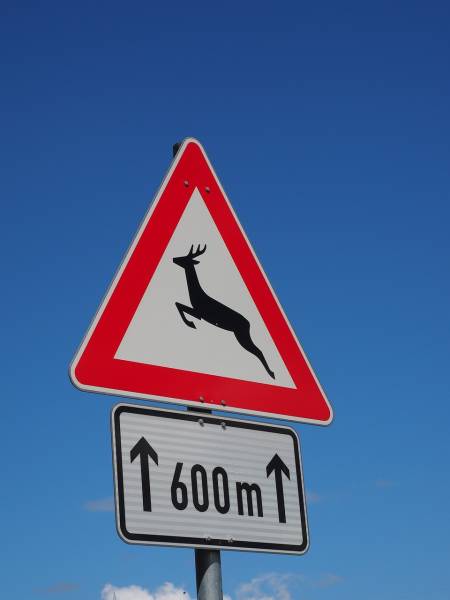 Fourniture et pose de panneau de signalisation pour animaux sauvages Dordogne